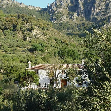 Hostal Betania Grazalema Exterior foto