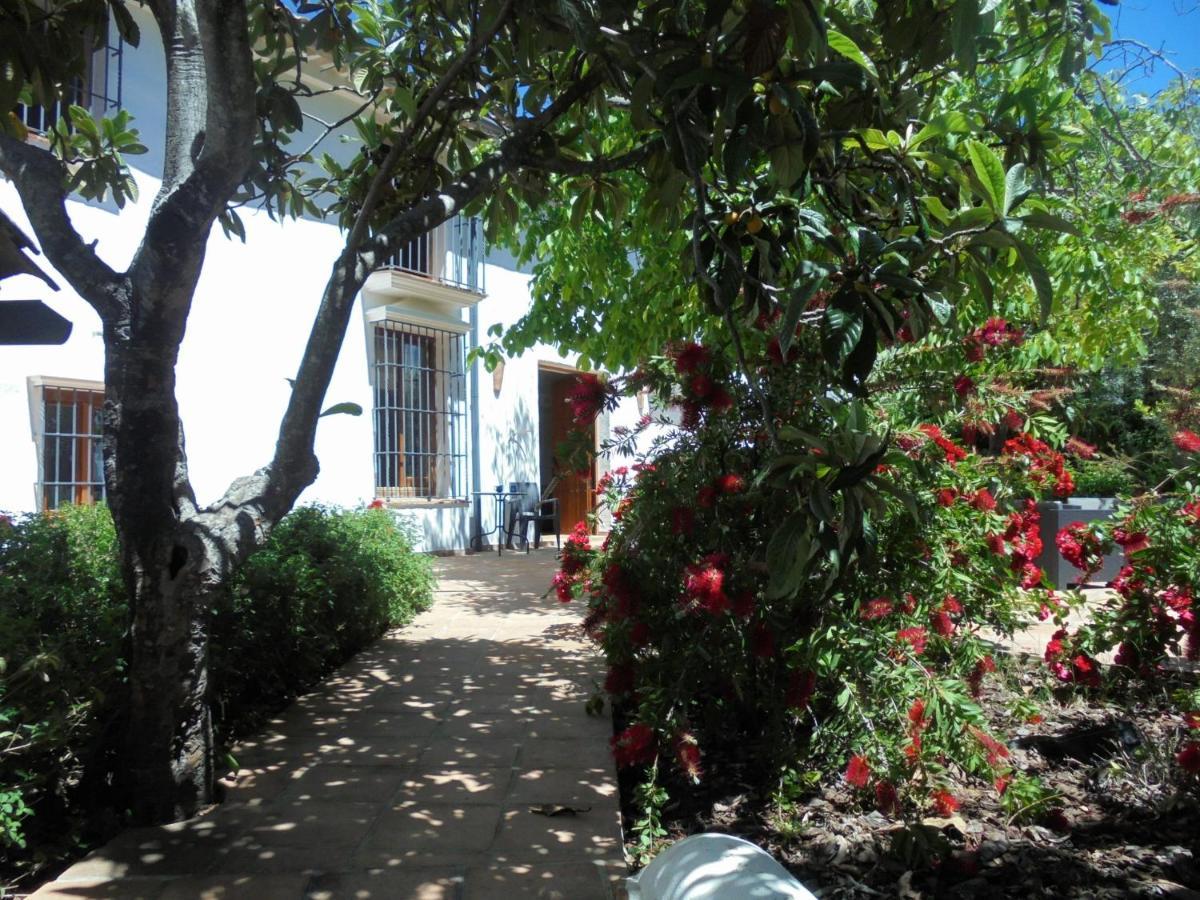 Hostal Betania Grazalema Exterior foto