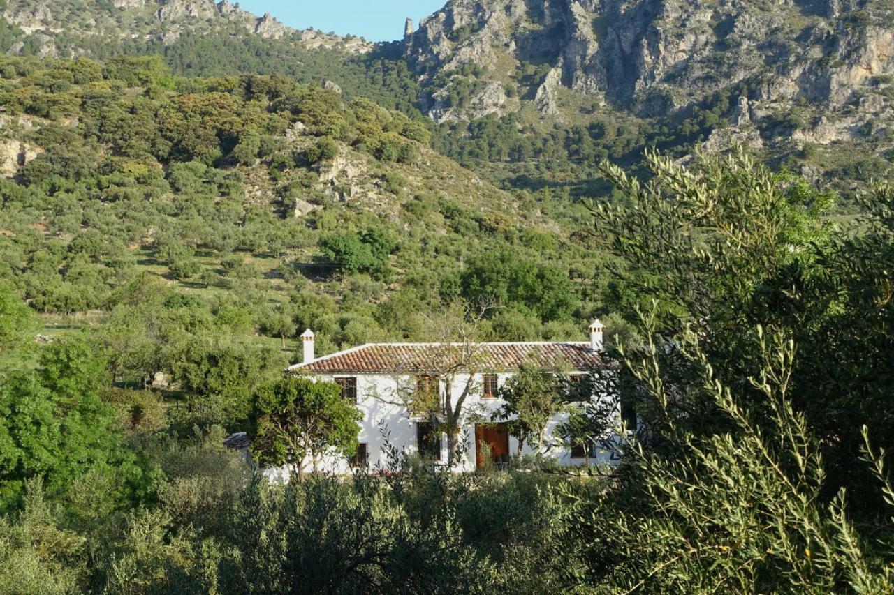 Hostal Betania Grazalema Exterior foto